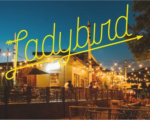 Ladybird’s string-lit outdoor patio at dusk with its yellow neon-style script logo overhead