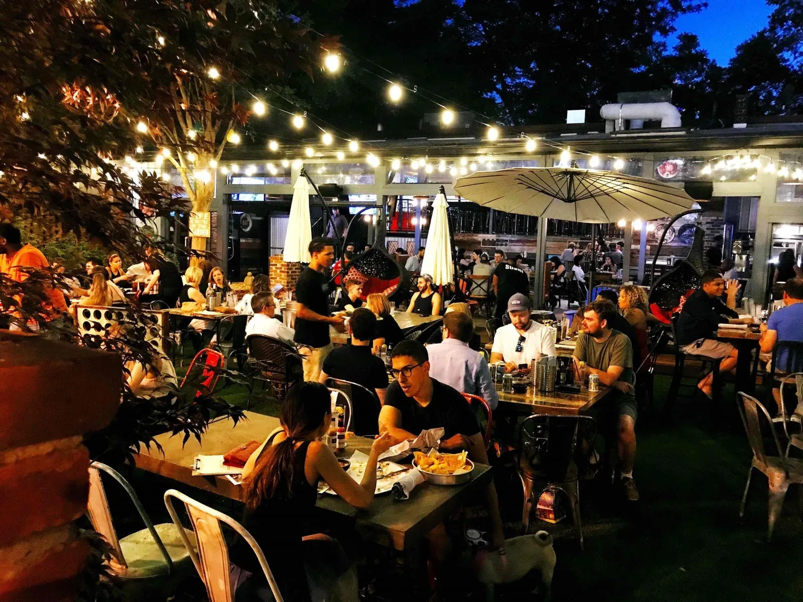 Diners at tables on Publico’s string-lit patio at night, with a pug sitting under one table